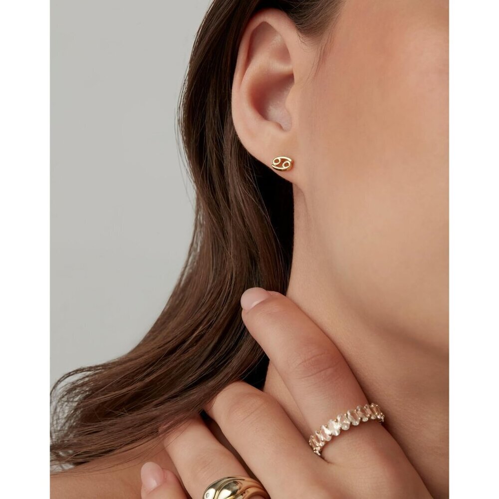 14K Gold Plated Sterling Silver Zodiac Earring Studs Women Gift - Picture 4 of 6